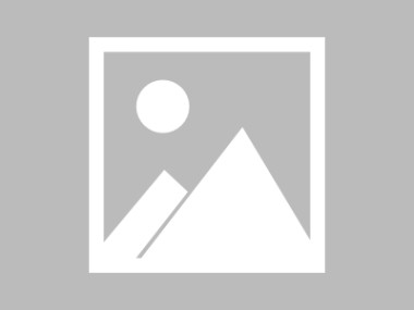 措美信息咨询服务，开启新世界的智能助手
